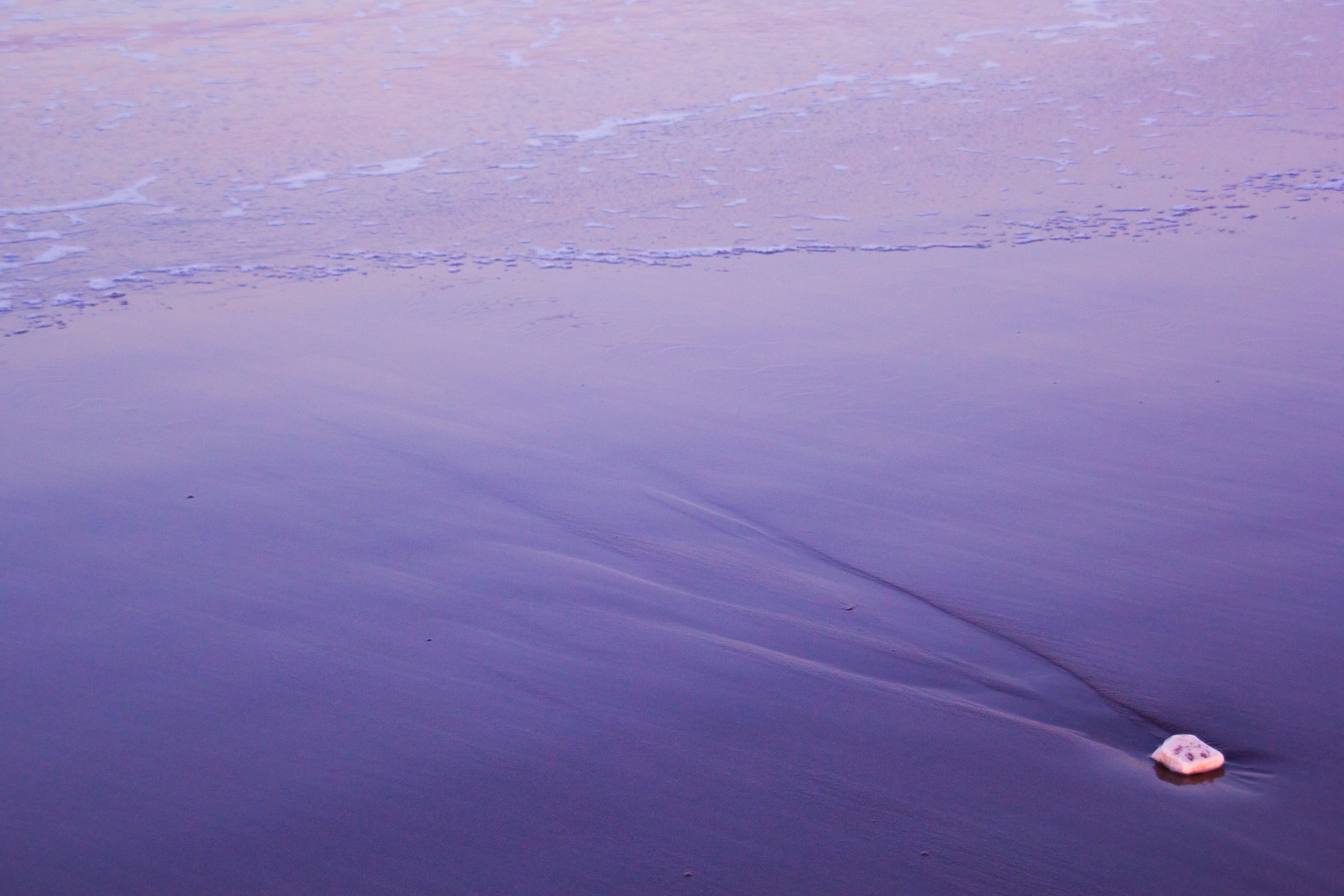 purple-ocean